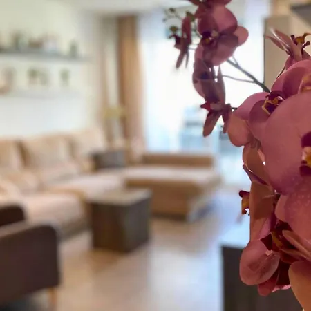 Apartment Modern Flat With Swimming Pool Terrace And Solarium Orihuela